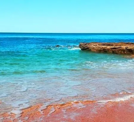 Joana Vasconcelos, Ocean View & Pool - Pata Da Gaivota *