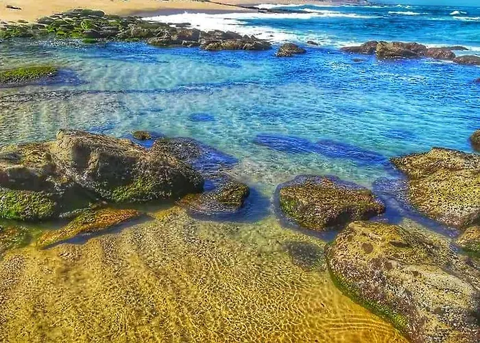 Villa Joana Vasconcelos, Ocean View & Pool - Pata Da Gaivota